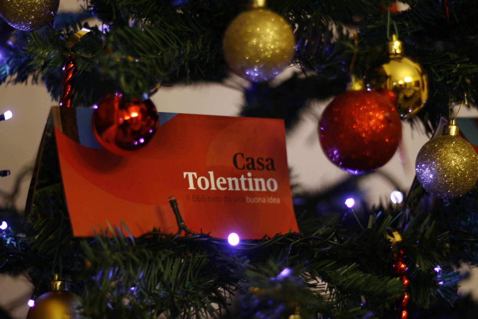 Affittacamere Casa Tolentino Napoli